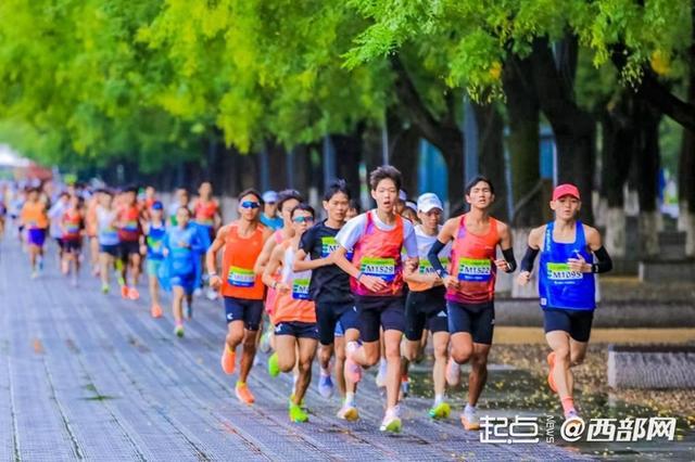 外星人城市, src, 活载体 外星人城市, src, 活载体